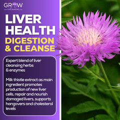 Best Liver Repair Supplement with Milk Thistle – Artichoke – Turmeric, 60 caps