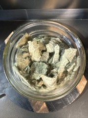 Dried Mullein