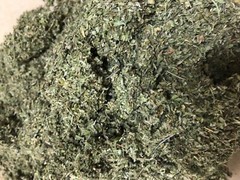 bulk DAMIANA Leaf Herb Wholesale ORGANIC Natural Cut tea oz 1 2 5 10 lb pound