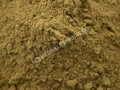 Black Myrobalan, Terminalia chebula, Fruit Powder ~ Schmerbals Herbals
