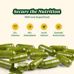 The Good Leaf Moringa Capsules, 60 Capsules