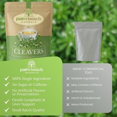 Palm Beach Herbs Cleavers Tea – Cleavers Herb for Lymphatic, Urinary and Well…