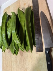 10 Sword Seeds, 刀豆种子，fresh 2025