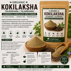 Organic Kokilaksha (Talmakhana / Talamkhana) Seed Powder – Hygrophila auriculata