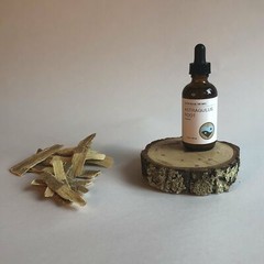 ASTRAGALUS ROOT – TINCTURE
