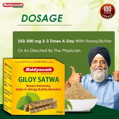 Baidyanath Giloy Satwa 50 gm / 1.76 oz Ayurvedic Herbal Powder For Immunity