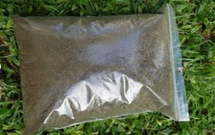 120g Dried Red Jatropha Curcas Leaves Powder – Ratanjot Laljari Yatilung Jadi