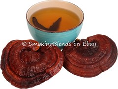 Reishi | Whole Mushrooms | 4 oz | Lingzhi | Ganoderma Lucid | Surfside Naturals