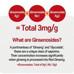 Authentic Korean 6-Year Red Ginseng Extract 365 Saponin Concentrated 240g x 2ea