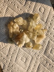 ONE LB Hojari Green frankincense – Ethically sourced from Oman