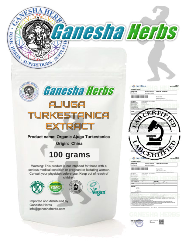 100% PURE AJUGA TURKESTANICA HIGH POTENCY 50:1 EXTRACT 100 grams