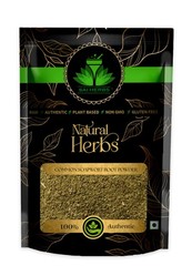 SAI HERBS Common Soapwort Root Powder – Good for Healthy Lifestyle