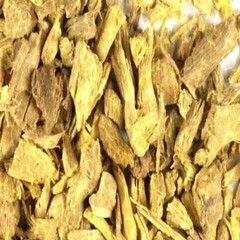 BURDOCK ROOT The Freshest It Can Be Ever Fresh Powder Ground 100 V Capsules