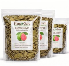 Dried Guava Leaves – Natural Psidium Guajava Tea Leaves, Hojas de Guayaba