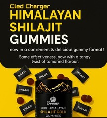 Shilajit Gummie, Himalayan Natural Shilajit Gummies, No Added Sugar with Ashwaga