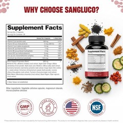 Blood Sugar Support Complex Supplement | Supports 60 Count (Pack of 1)