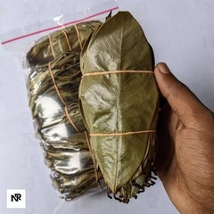 Dried Soursop Graviola Leaves Herbal Tea 100% Organic Hojas De Guanabana Leaf