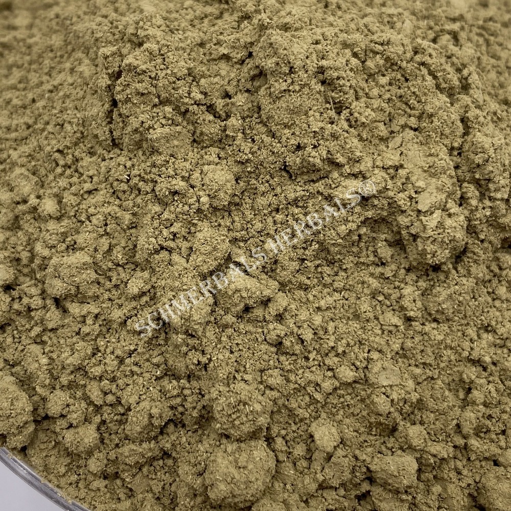 Stone Breaker, Phyllanthus urinaria, Plant Powder ~ Schmerbals Herbals