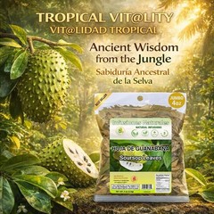 Whole Dried Graviola Soursop Leaves (4 oz 113g+ Leaves Per Bag) Hoja De Guanaban
