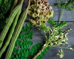 Organic Moringa Seeds | Moringa Oleifera | Dried, Non GMO Edible Planting