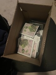 Steep Cafe By BIGELOW classic Mint Herb 50 Pack In Each Box
