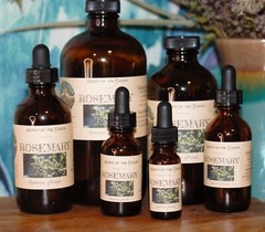 ROSEMARY Extract Remember Memory Nourish ORGANIC FOLK Tincture