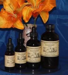 RASPBERRY LEAF Tincture blood bowel pregnancy uterine ORGANIC FOLK STRONG Remedy