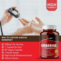 Berberine HCI Premium 97% Berberine Blood Sugar 500mg Capsules – 90 Count
