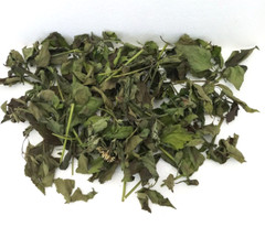 Dried Mexican Dream Herb Calea Zacatechichi Lucid Herbal Organic Tea Leaves