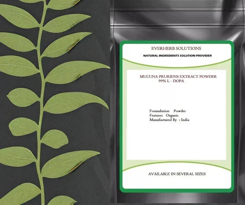 Mucuna Pruriens Extract Powder 99%, High quality Free Ship