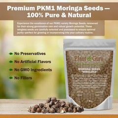 400 Moringa Oleifera Seeds 4 oz. WINGLESS Fresh Organic Semillas de Moringa Tree