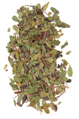 Eucalyptus Leaf Herb 1 oz – Organic Cut & Sifted | Respiratory Support