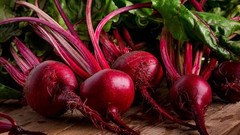 Premium Organic Beetroot Powder – Beetroot Supplement Energy Boost 250g Ideas99