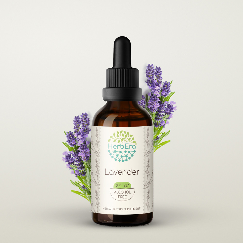 HerbEra Lavender Alcohol-FREE Extract Tincture Organic (Lavandula x intermedia)