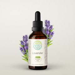 HerbEra Lavender Alcohol-FREE Extract Tincture Organic (Lavandula x intermedia)