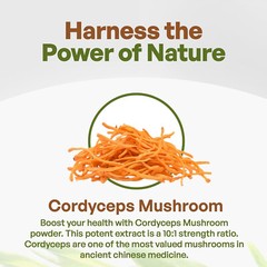 Cordyceps Mushroom Powder 8oz
