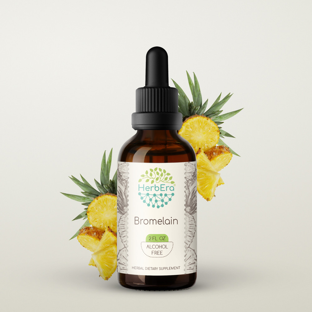 HerbEra Bromelain Alcohol-FREE Tincture Wildcrafted (Ananas Comosus)
