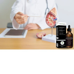 Herbal Kidney Support Complex|GET 1 FREE Kidney Stone&Urinary Tract Health Drops
