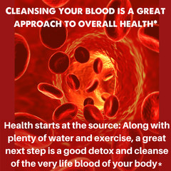 Natural Blood Cleanser Supplement (2 Fl oz Drops) SpeedyVite®
