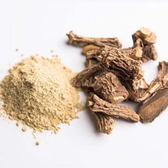 WHOLESALE!! Sarsaparilla Root Powder (Smilax ornata) – Premium Quality