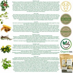 Kidney Tea 6 Herbs Stone Breaker, Urinary Tract Health, Diuretic, Bladder, UTI