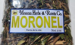 Moronel Planta de La Vida Te de moronel moronel organico hierba mexicana