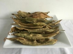 Insulin Plant Leaves Dried Thebu Costus Igneus Organic Natural Fresh Leaf Tea