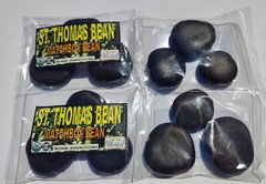 3 St Thomas Bean, box bean (Entada phaseoloides) giant bean, magic bean, seeds o