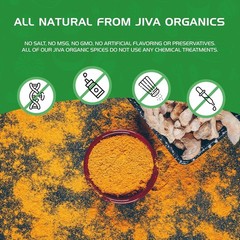 Organic Turmeric Powder 1 Pound Jar by Jiva Organics – 1 (Pack of 1)