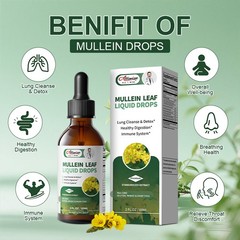 2 PACK Mullein Drops for Lungs, Detox and Cleanse Mullein Extract Supplement