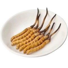 Whole Wild Himalayan Cordyceps Sinensis | 3 Grams | Best Price! | Free Shipping