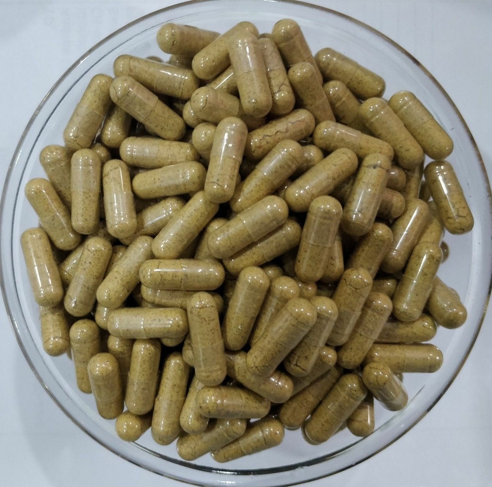 ORGANIC Bitter Melon Fruit 20:1 Extract Capsules Momordica Charantia