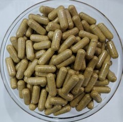 ORGANIC Bitter Melon Fruit 20:1 Extract Capsules Momordica Charantia