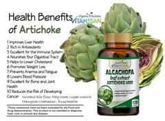 Alcachofa Control Weight Loss Antioxidant 60 Pills Slim Fat Burner #1 BEST 120